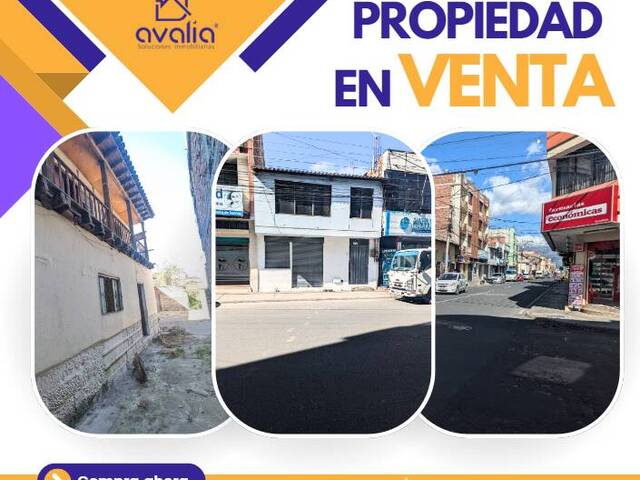 #AVLT401 - Terreno para Venta en Riobamba - H