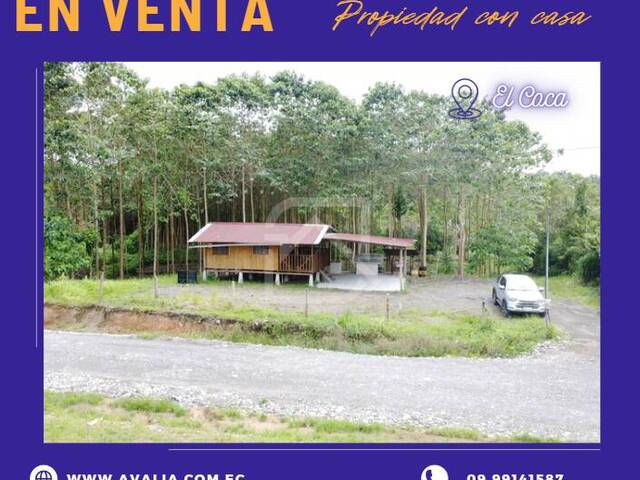 #AVLT404 - Terreno para Venta en Orellana - D