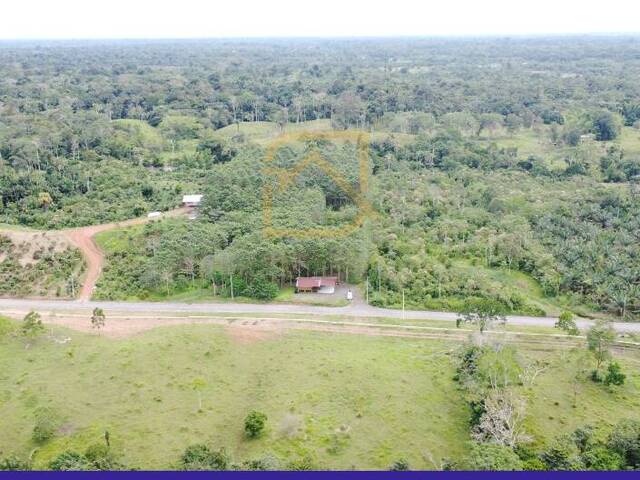 #AVLT404 - Terreno para Venta en Orellana - D