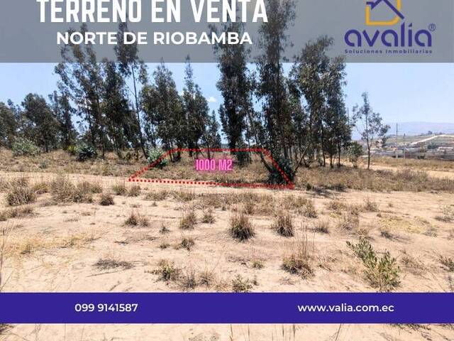 #AVLD403 - Terreno para Venta en Riobamba - H