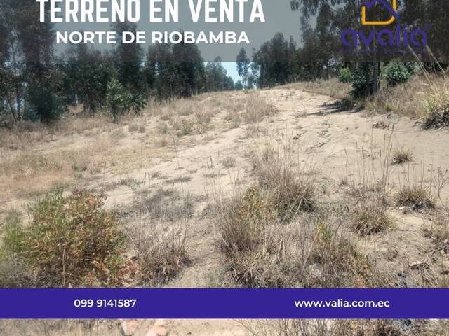 #AVLD403 - Terreno para Venta en Riobamba - H