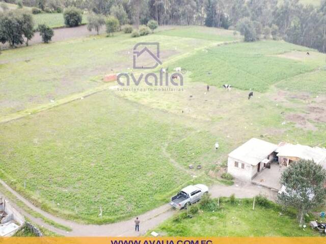 #AVLT382 - Terreno para Venta en Riobamba - H