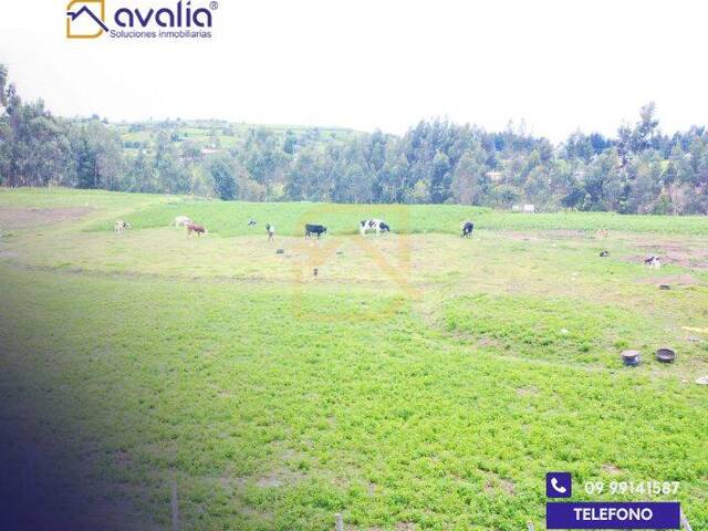 #AVLT381 - Terreno para Venta en Riobamba - H